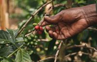You are currently viewing #FairtradeTogether: Coffee co-operative shows solidarity with local government