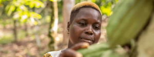 Rosine Bekoin on her cocoa farm