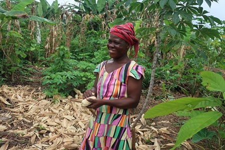 Emelia Debrah, lead farmer in the Alliances for Sankofa project in Ghana