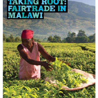 Taking root Fairtrade in Malawi