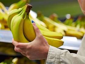 A bunch of Fairtrade bananas in a supermarket