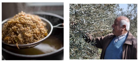 Zaytoun's photos of Maftoul salad and farmer Mohammed.