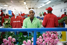 Flower workers