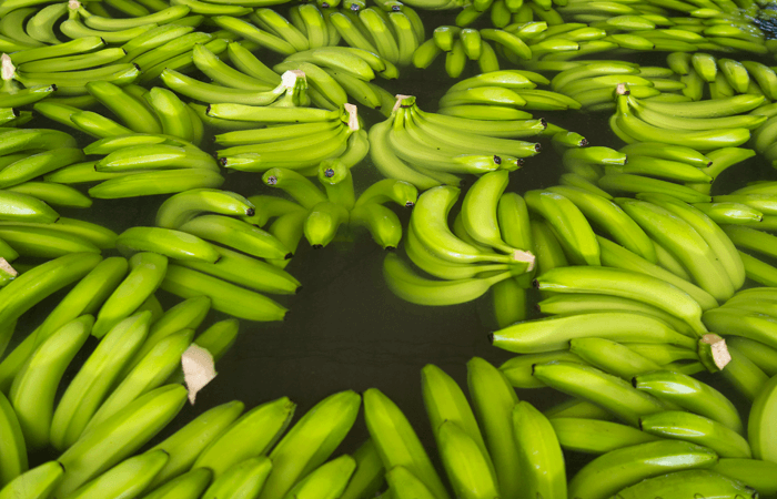 Washing bananas - photo by Ian Berry