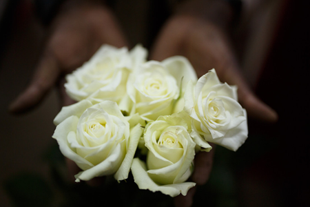 White Fairtrade roses