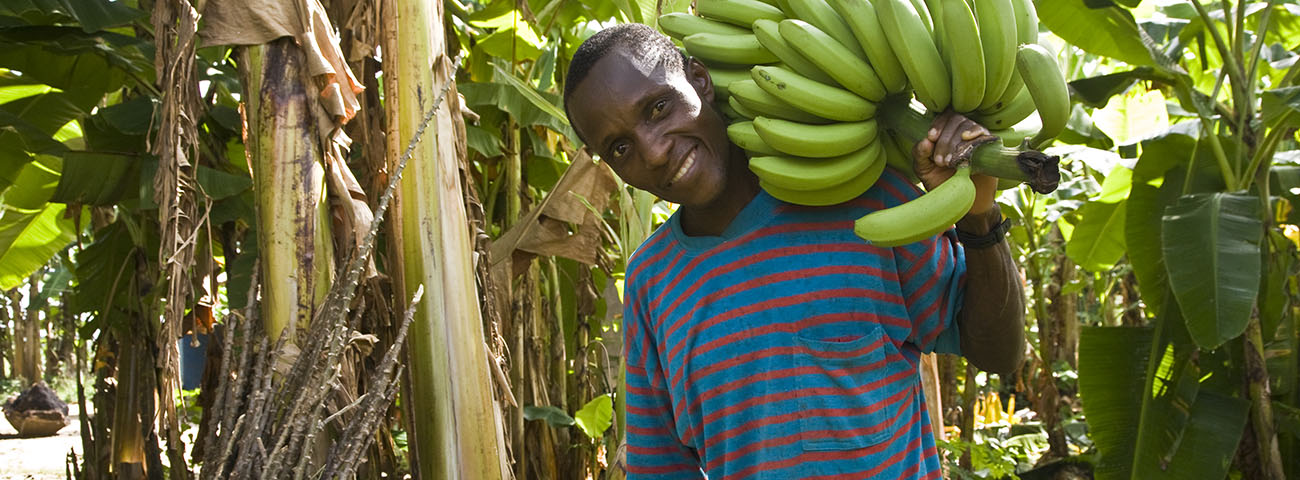 You are currently viewing Fairtrade leads way to living wages for banana workers