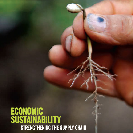 You are currently viewing Fairtrade coffee: Economic sustainability