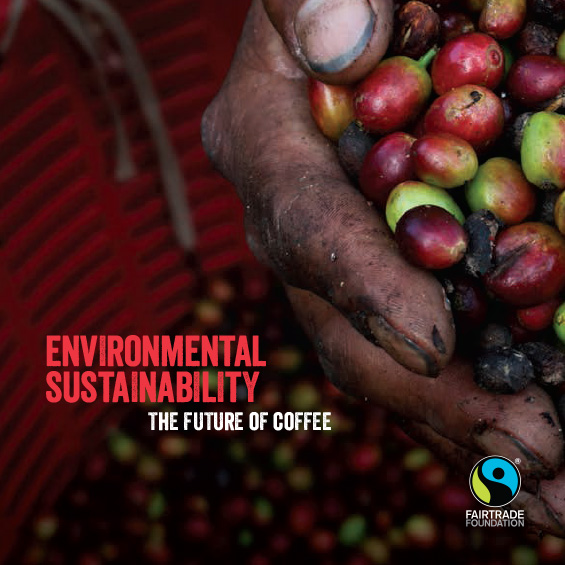 You are currently viewing Fairtrade Coffee: Environmental sustainability