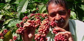 A farmer of the Fair Trade Alliance in Kerala India
