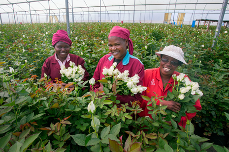 Co-op flower farm