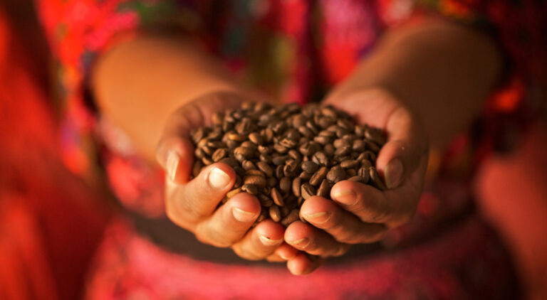 Coffee beans held in hands