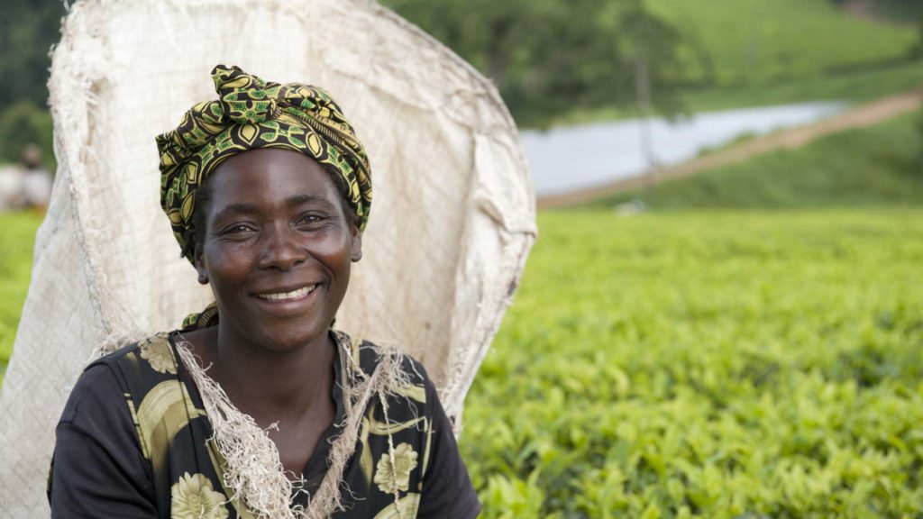 Dorothy Chikwiti, a Satemwa Tea Estate worker