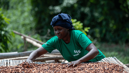 Kouame Ehui Edith, member of SCAEK COOP-CA, cocoa farmer in Ivory Coast