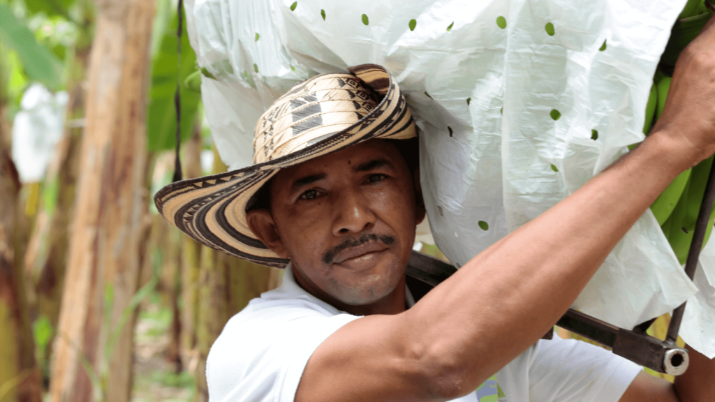 Foncho carrying bananas