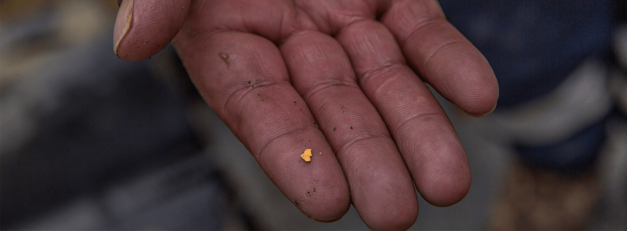 Gold nugget lying on a miner's hand