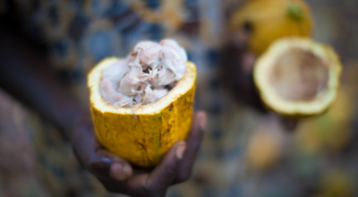 6 Reasons Why Choosing Fairtrade Chocolate Makes a Difference