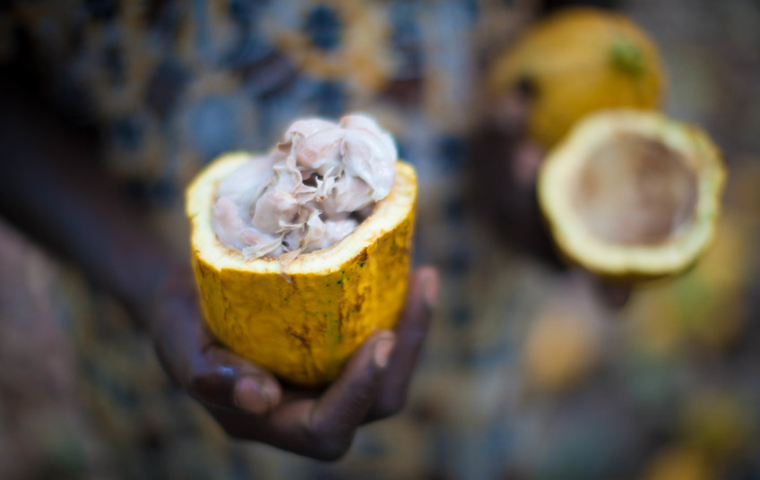 You are currently viewing 6 Reasons Why Choosing Fairtrade Chocolate Makes a Difference