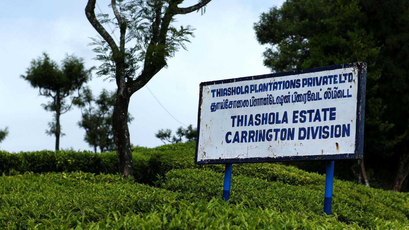 Thiashola Estate