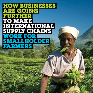 How businesses are going further to make international supply chains work for smallholder farmers