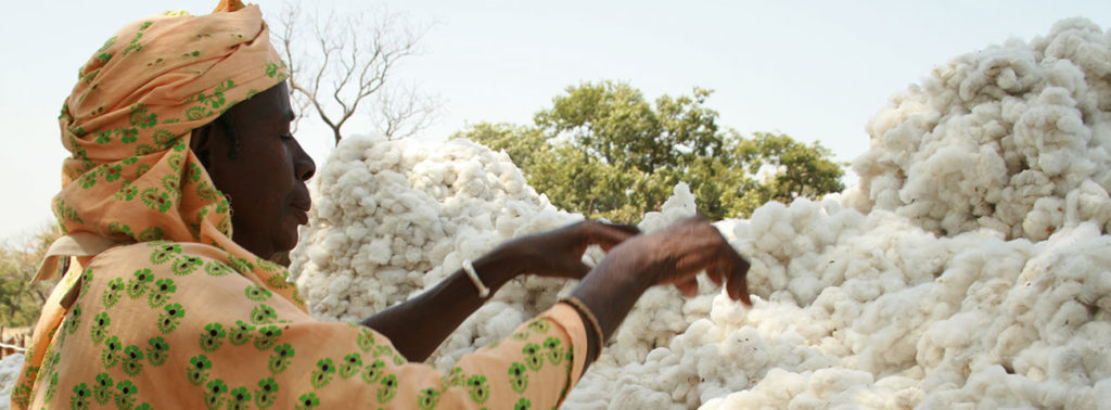 Cotton farmer