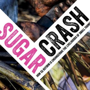 Sugar Crash report