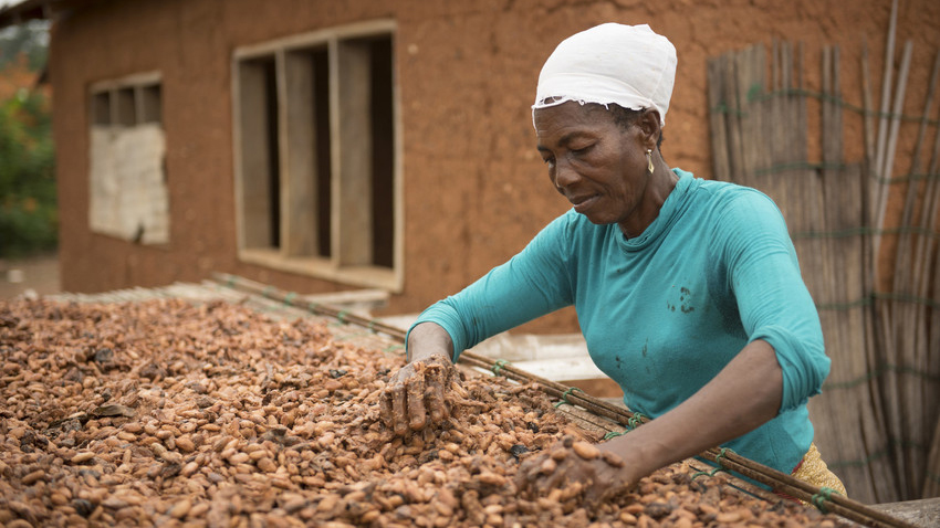 Beatrice Boakye, cocoa farmer in Ghana, drying her cocoa beans