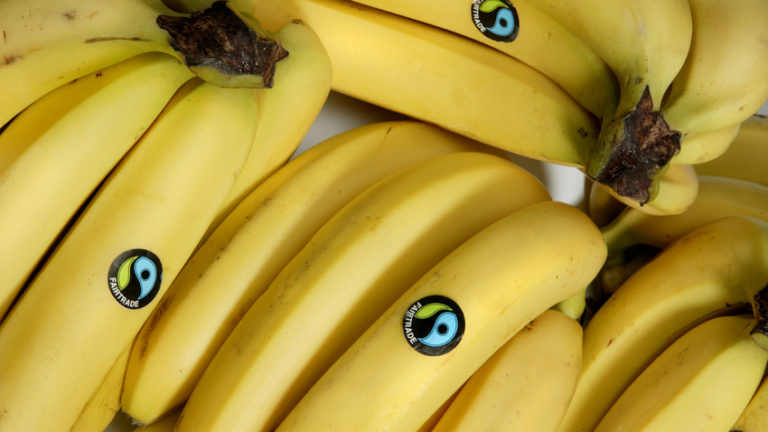 Fairtrade bananas with stickers of Fairtrade Mark