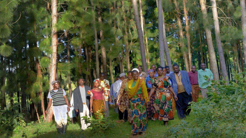 Coffee co-op KCU in Tanzania, Fairtrade premium was used to plant a new forest close to the office as an environmental project.