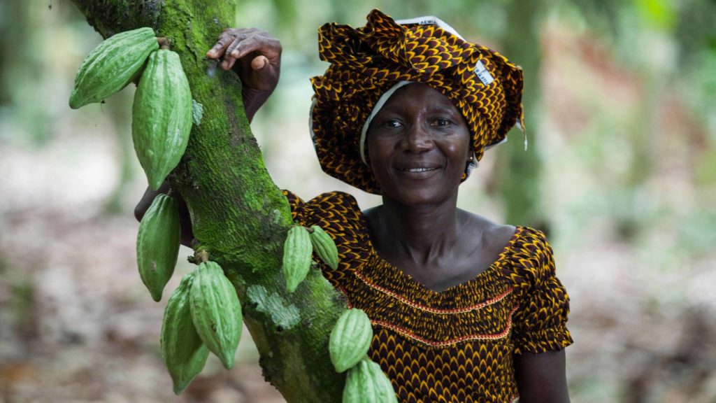 Alphonsine N'Guetia from COOPAZA standing next to cocoa tree