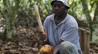 How Fairtrade and Ben & Jerry’s are working towards a living income for cocoa farmers