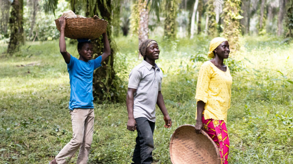 Lucia Mansaray, cocoa farmer from Sierra Leone walking with son Beshey and cocoa farm helper at the edge of the Gola Rainforest
