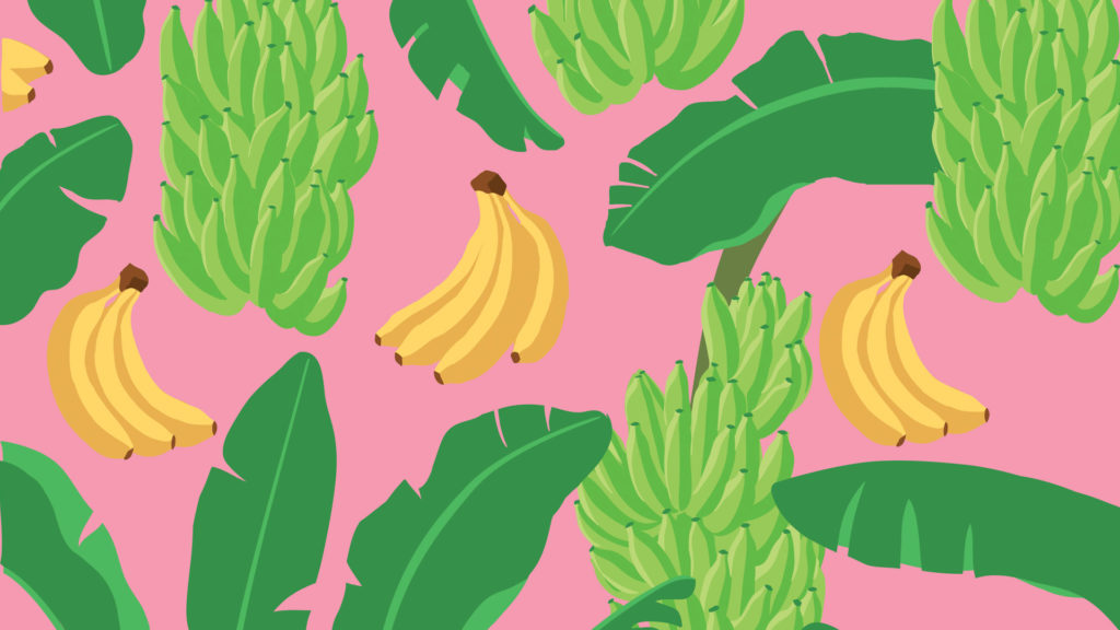 Banana plant illustration with pink background