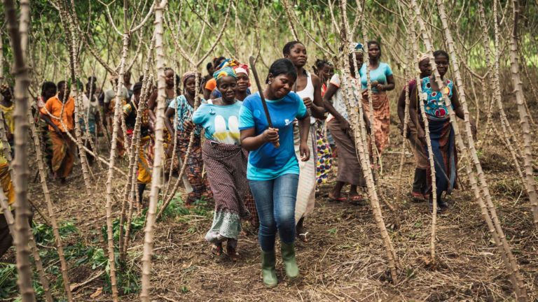 Cocoa farmers from ECAKOOG co-operative in Cote d'Ivoire dance through the cocoa farm, holding machetes.