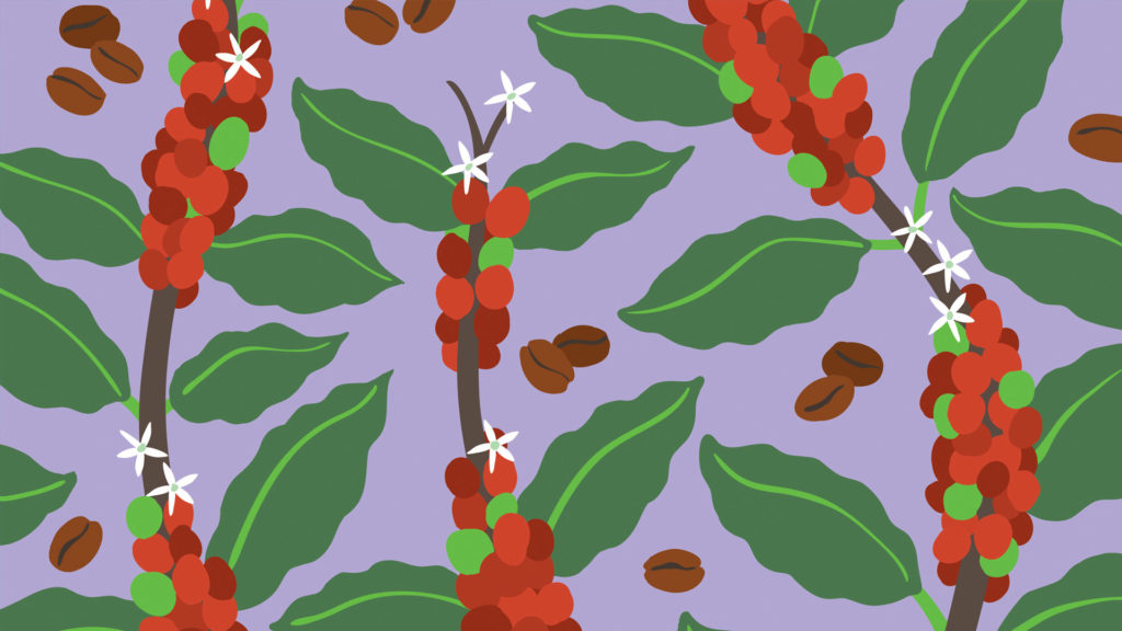 Coffee bush illustration with purple background
