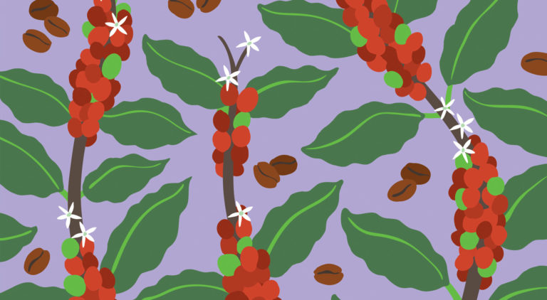 Coffee bush illustration with purple background