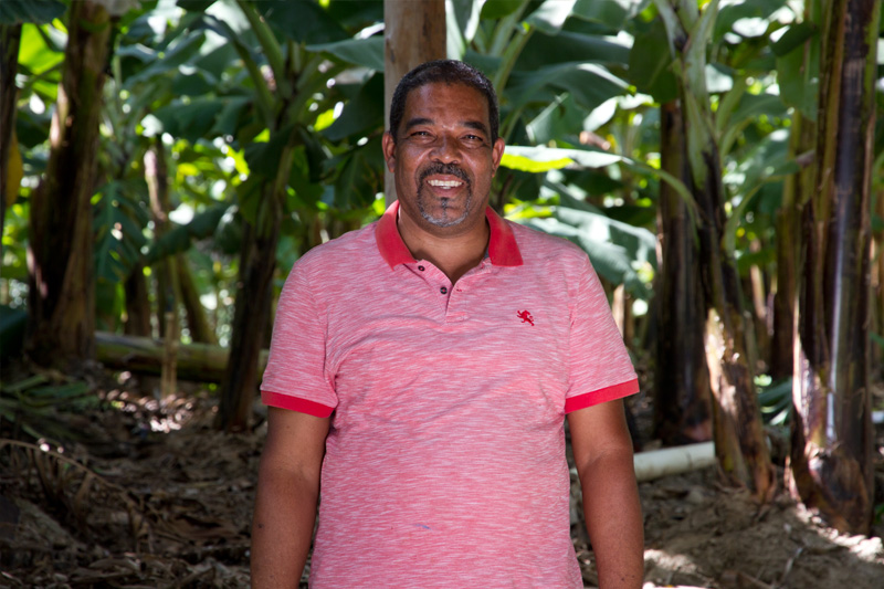 Portrait of Ángel Guzmán Santana in banana farm
