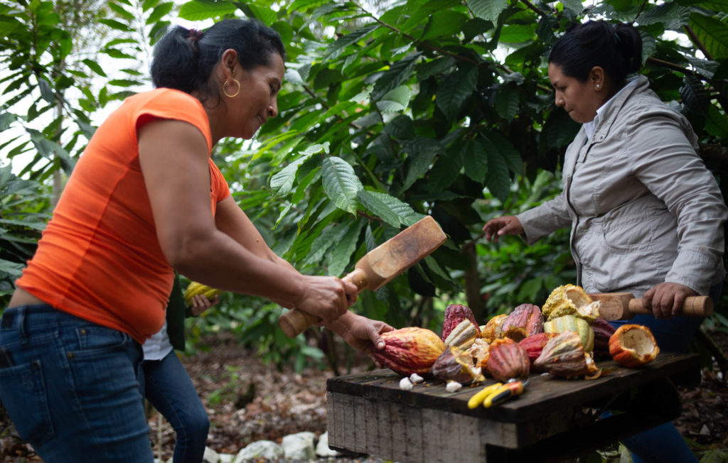 Rosa Maribel Cortes works at the Xol chocolate factory in Honduras. Xol chocolate is a brand of the Fairtrade-certified COAGRICSAL coop.