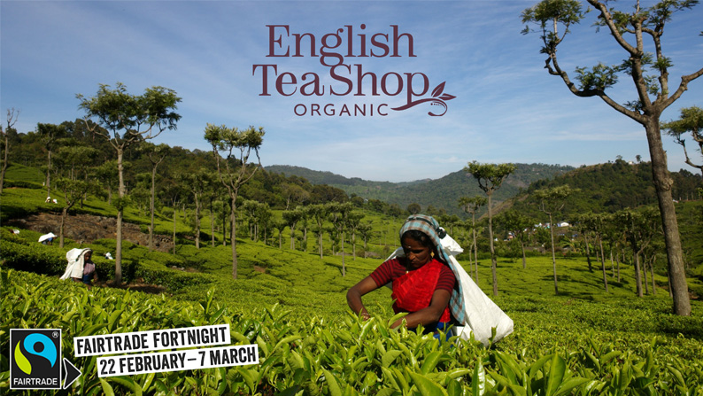 English Tea Shop title over image of a tea worker plucking tea leaves in a plantation