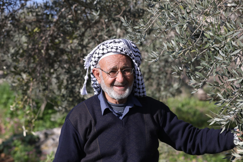 Fairtrade Olive Farmer Haj Rafeeq Hussein