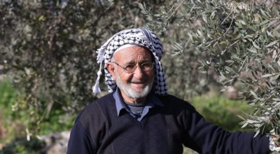 A conversation with olive farmer Haj Rafeeq Hussein