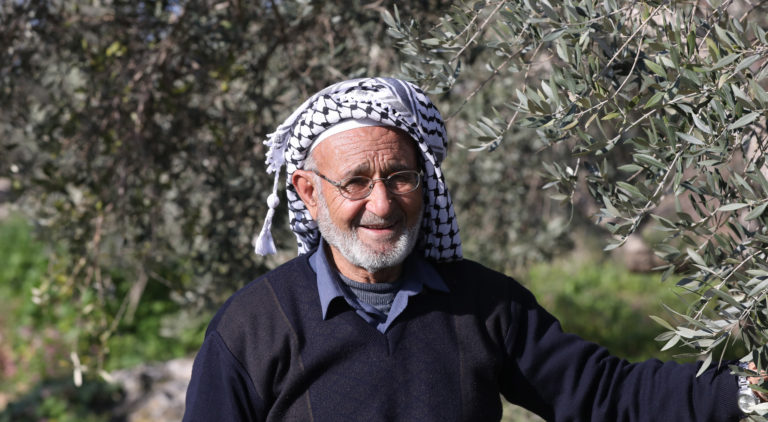 Fairtrade Olive Farmer Haj Rafeeq Hussein