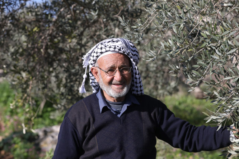 Fairtrade Olive Farmer Haj Rafeeq Hussein