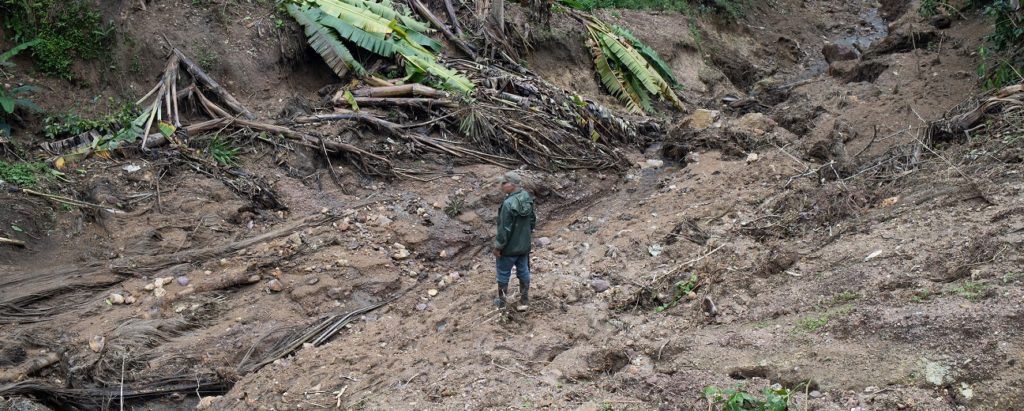 Fairtrade farmer Hector Hermilo Perdomo surveys the damage to farmland after Hurricanes Eta and Iota hit Honduras in November 2020