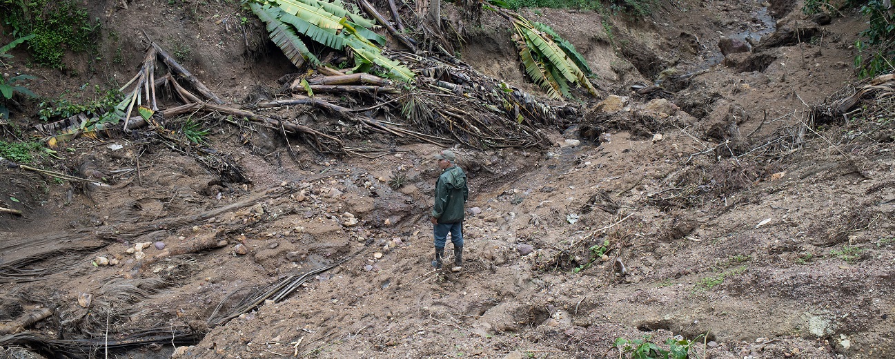 You are currently viewing ‘Stop dumping our emissions on poorer countries’: Fairtrade urges government to protect farmers and food supplies from climate crisis