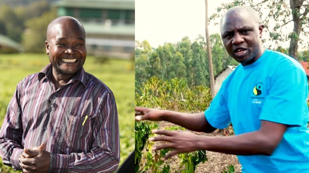 Patrick Kaberia and Bernard Njoroge on farms in Kenya
