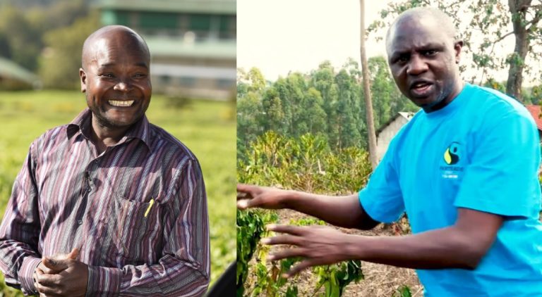 Patrick Kaberia and Bernard Njoroge on farms in Kenya