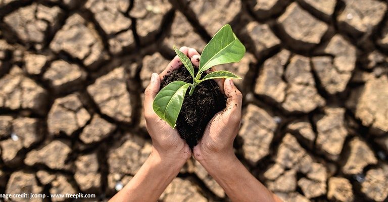 hands holding plant over parched landscape