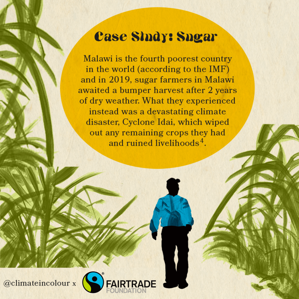 Case Study: Sugar Farming. Malawi is the fourth poorest country in the world (according to the IMF) and in 2019, sugar farmers in Malawi awaited a bumper harvest after 2 years of dry weather. What they experienced instead was a devastating climate disaster, Cyclone Idai, which wiped out any remaining crops they had and ruined livelihoods [4].