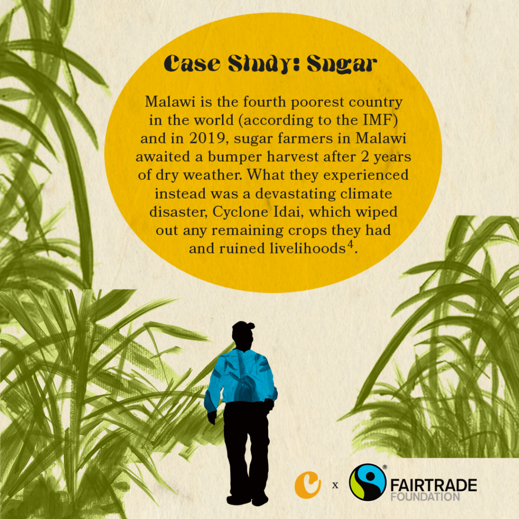 Case Study: Sugar Farming. Malawi is the fourth poorest country in the world (according to the IMF) and in 2019, sugar farmers in Malawi awaited a bumper harvest after 2 years of dry weather. What they experienced instead was a devastating climate disaster, Cyclone Idai, which wiped out any remaining crops they had and ruined livelihoods [4].