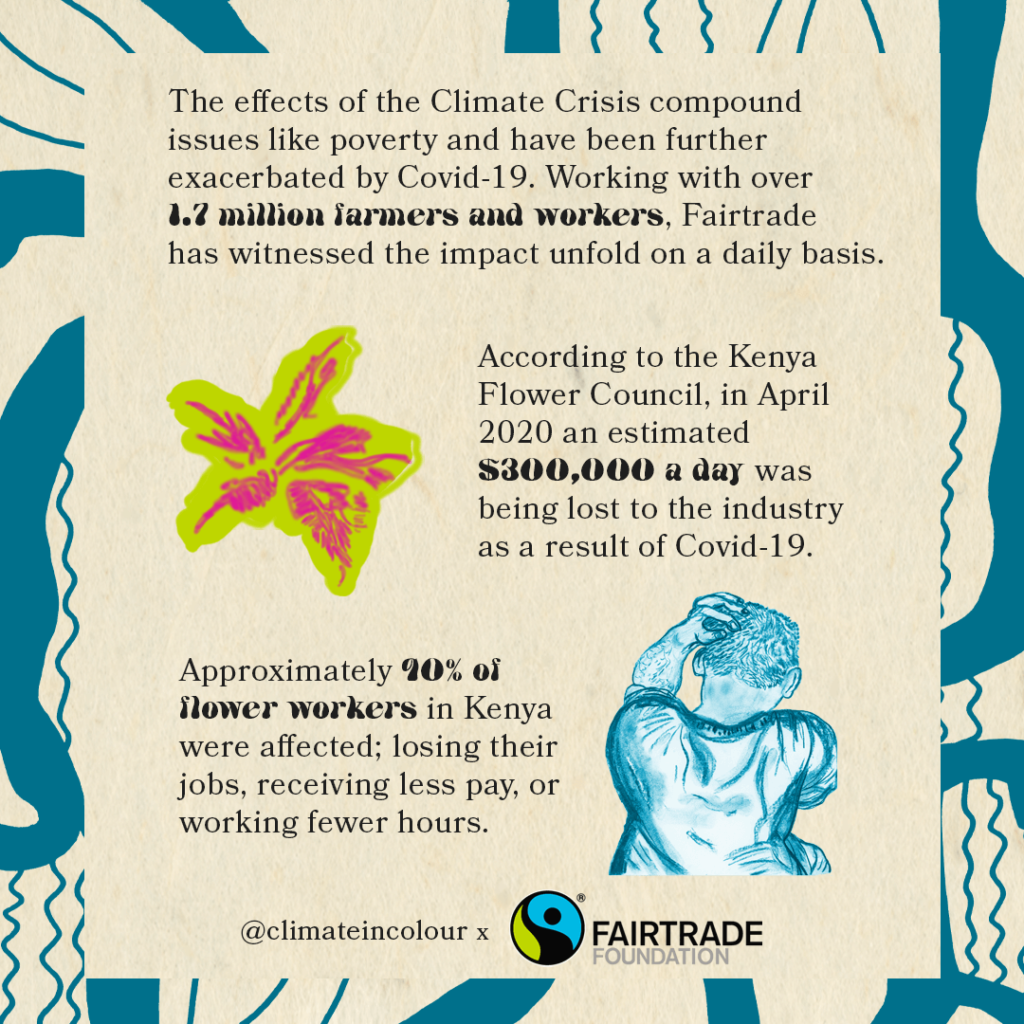 The effects of the Climate Crisis compound issues like poverty and have been further exasperated by Covid-19. Working with over 1.7 million farmers and workers, Fairtrade has witnessed the impact unfold on a daily basis. According to the Kenya Flower Council, in April 2020 an estimated $300,000 a day was being lost to the industry as a result of Covid-19. Approximately 90% of flower workers in Kenya were affected; losing their jobs, receiving less pay, or working fewer hours.